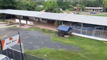 La política y el Carnaval al servicio de El Gallero