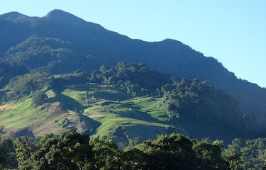 Buscan a colombiana perdida en sendero El Pianista