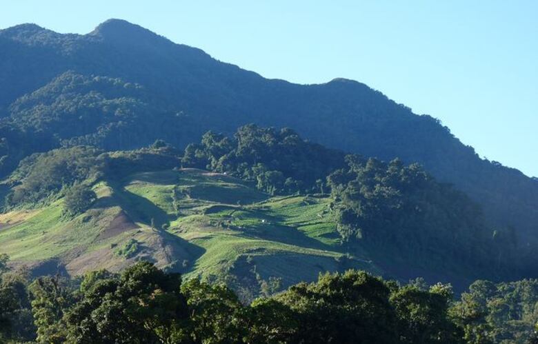 Buscan a colombiana perdida en sendero El Pianista