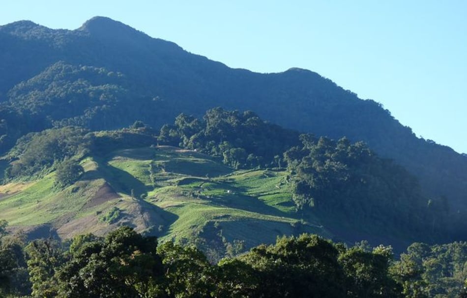 Buscan a colombiana perdida en sendero El Pianista