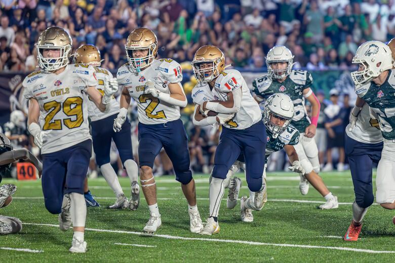 Kolts y Fighting Owls se reparten la gloria en la clausura del semestre de la Kiwanis Football League