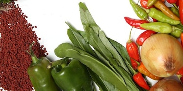 Ingredientes clave para preparar un plato istmeño