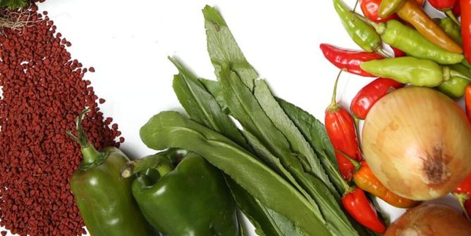 Ingredientes clave para preparar un plato istmeño