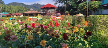 Feria de Boquete celebra sus bodas de oro; será del 12 al 22 de enero