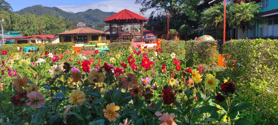 Afinan detalles para la Feria de las Flores y del Café en Boquete del 11 al 21 de enero del 2024