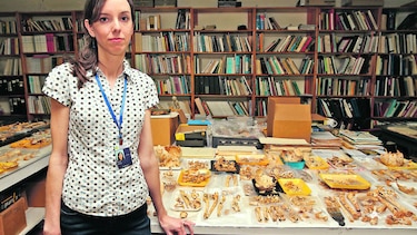 Huellas del pasado en Cerro Juan Díaz