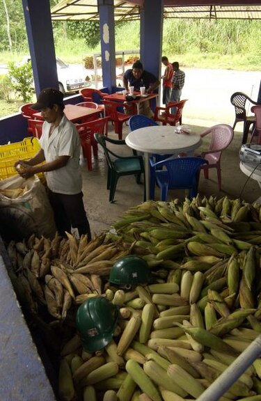 ONU denuncia que una de cada nueve personas sufre de hambre en el mundo