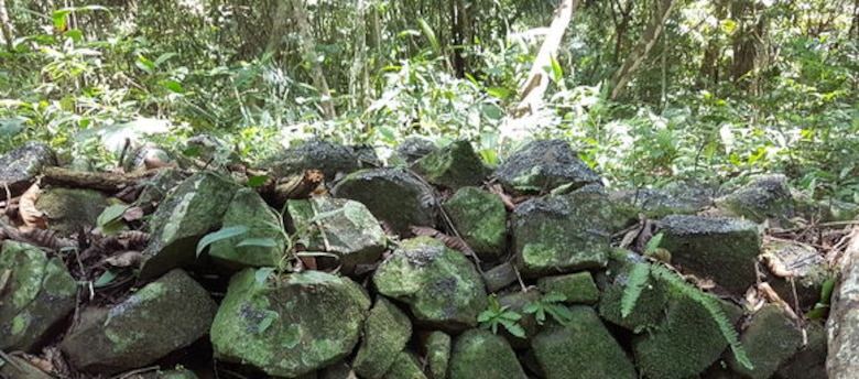La capilla de la palangana