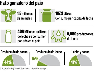 Detectan 41 brotes de brucelosis en Chiriquí