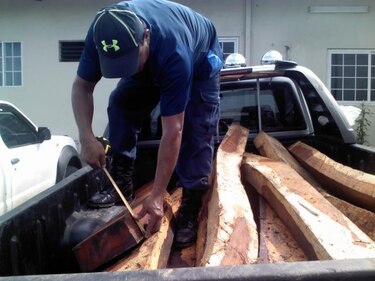 Policía Nacional decomisa cargamento de madera de cocobolo