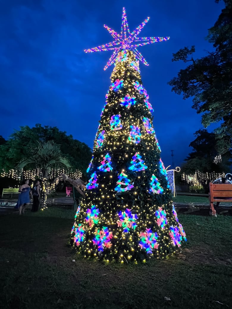 Luces de Navidad: así se gastaron los $200 mil que MiCultura envió a La Pintada