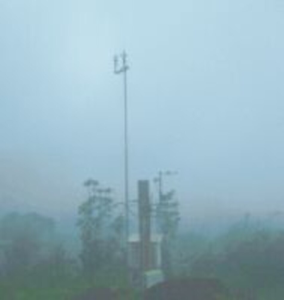 Territorios de la neblina