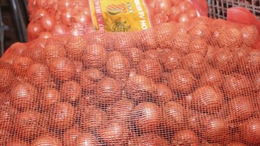 Aprueban requisitos para importar cebolla de España