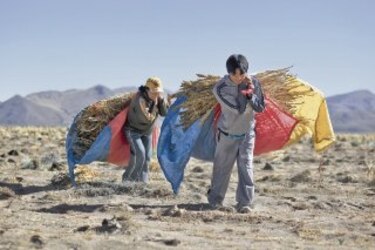 Mejora calidad de vida en Bolivia
