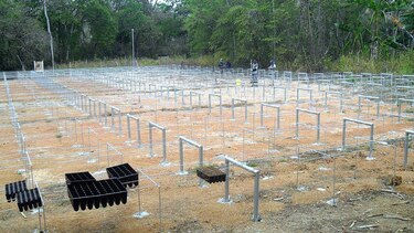 Reforestarán la cuenca del río La Villa con más de un millón de plantones