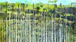 Reinventar el paisaje