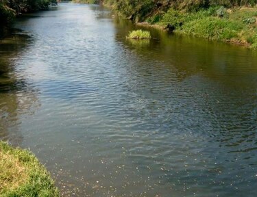 Campos de Pesé, S. A. pide al Mida auditoría sobre el manejo de atrazina