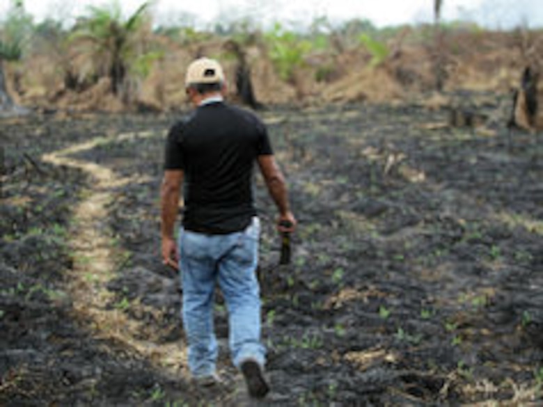 Día de la Tierra: La Carta del Jefe Seattle