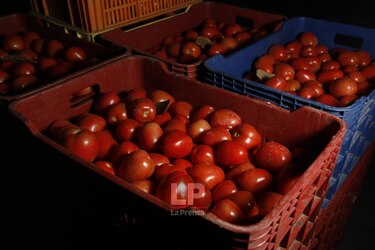 Recuperan los cuerpos de dos mujeres en Chiriquí; las tareas de rescate continúan