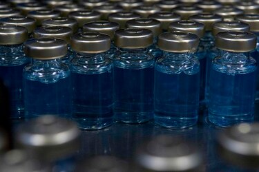 Costa Rica apuesta a plasma equino para bajar hospitalizaciones por Covid-19