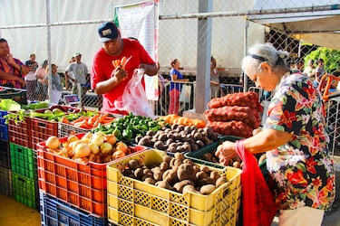 Todo lo que necesitas saber sobre las agroferias del IMA para este miércoles 27 de agosto: horarios y puntos de venta  