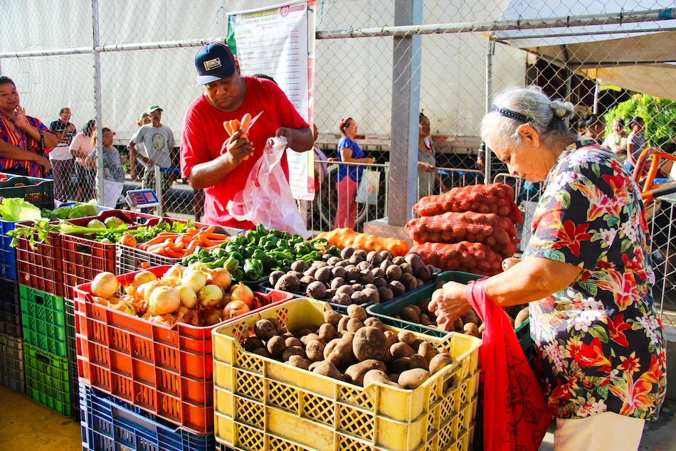 IMA inaugura en octubre una Tienda del Pueblo en Frigo de San Antonio, vía Tocumen