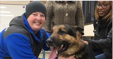 Luego de tres años desaparecido, perro se reúne con su dueña