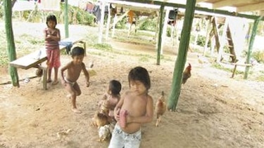 Alimentos para 25 mil niños