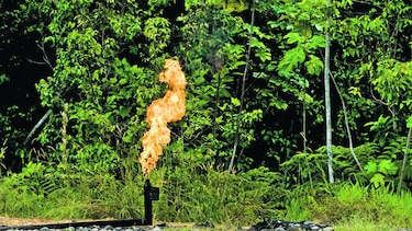 Leonardo DiCaprio asegura que el plebiscito que celebrará Ecuador sobre el petróleo es ‘histórico’