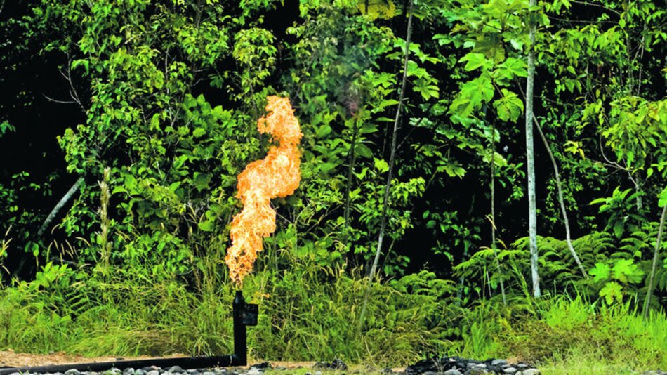 Leonardo DiCaprio asegura que el plebiscito que celebrará Ecuador sobre el petróleo es ‘histórico’