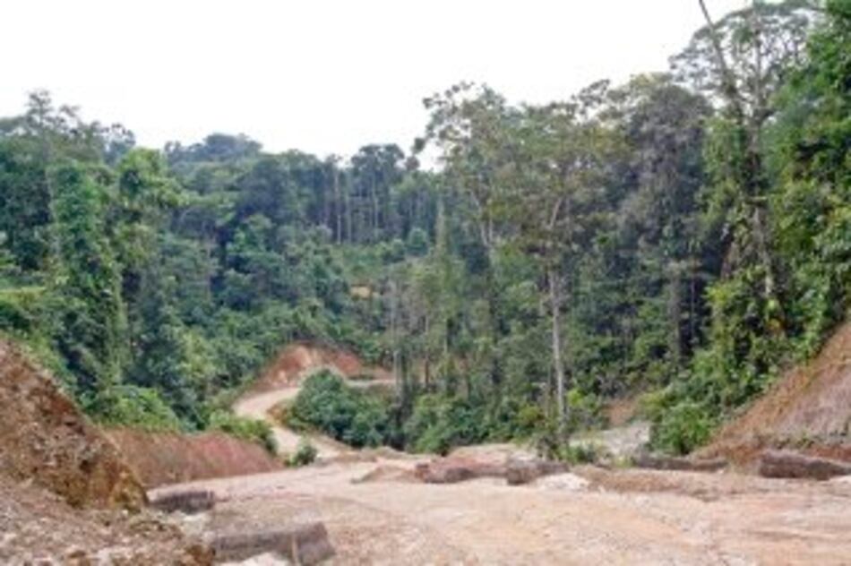 Polémica iniciativa sobre pago por servicio ambiental