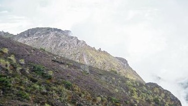 El Pianista, un lugar exótico en el volcán Barú