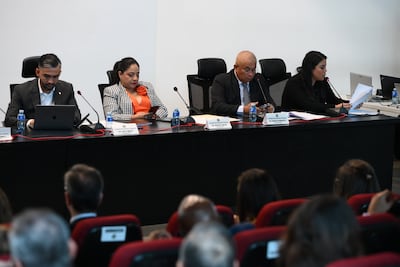 Proyecto de sustancia económica: Apede sostiene que esta discusión ‘es impostergable’