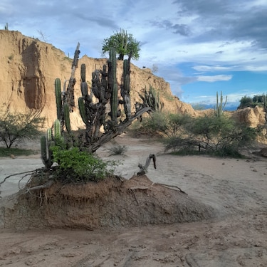 Macizo Colombiano: Un viaje entre paisajes imponentes, historia ancestral y cielos estrellados