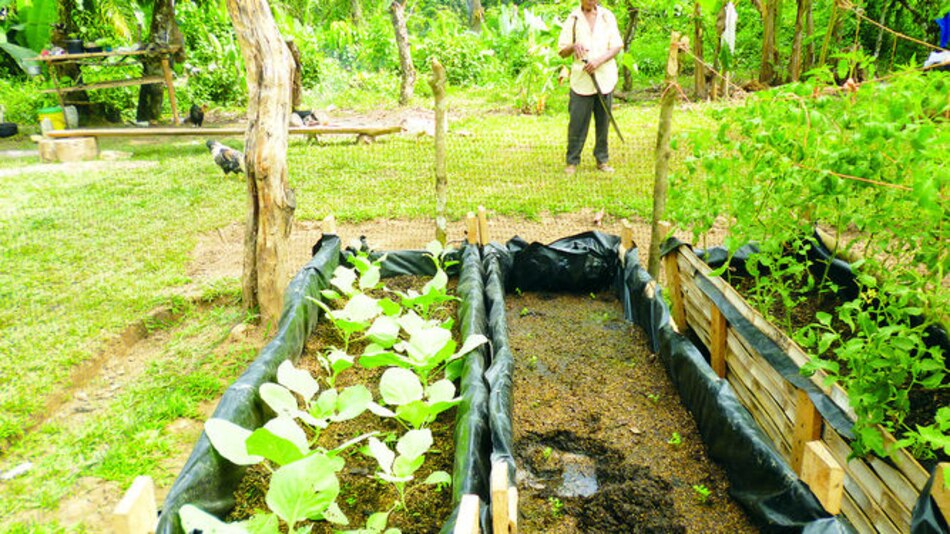 Mejoran técnicas de cultivos en la comarca