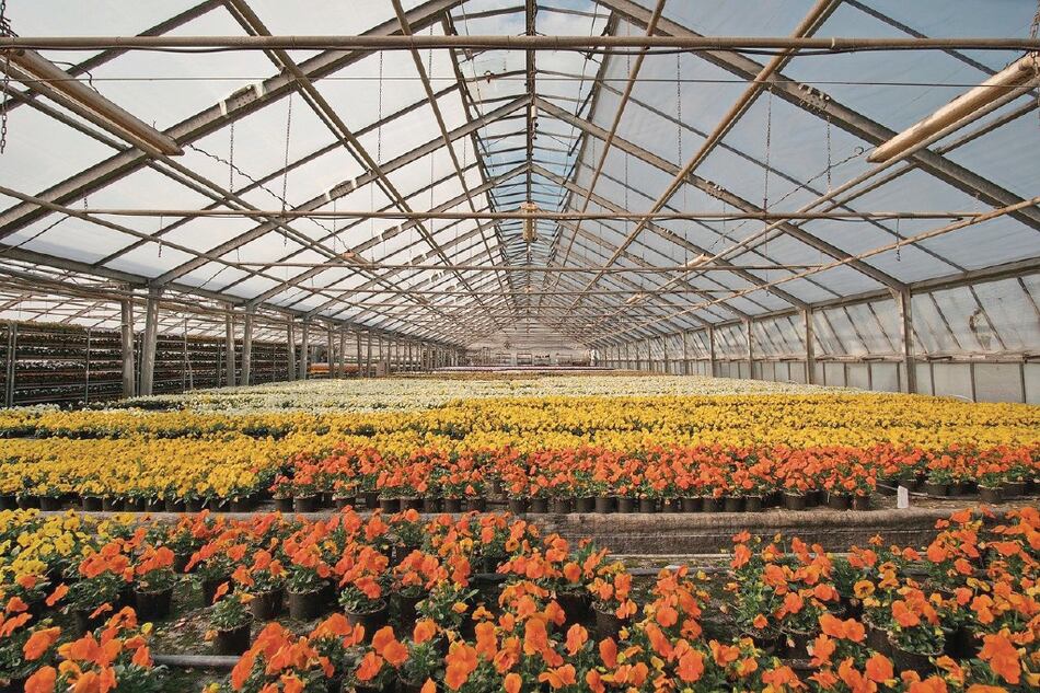 Futuro de la agricultura digital, en manos de jóvenes y mujeres