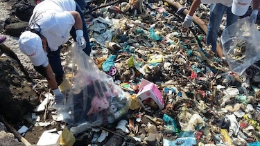 Cientos de voluntarios participaron de la 'gran limpieza' de playas y ríos