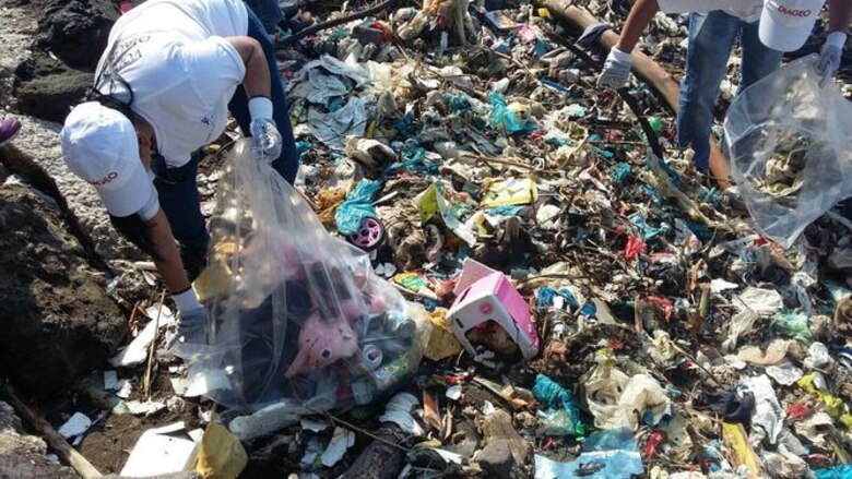 Cientos de voluntarios participaron de la 'gran limpieza' de playas y ríos