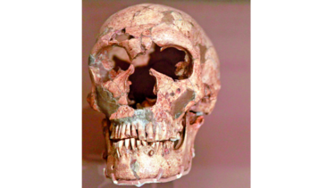 La historia de los neandertales