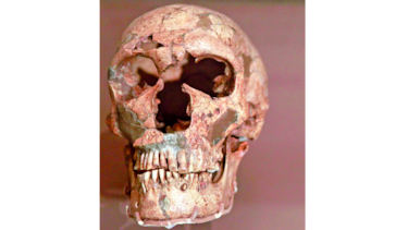 La historia de los neandertales