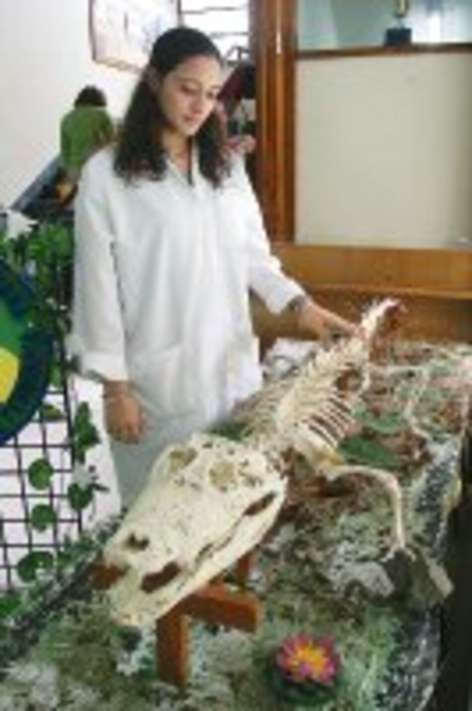 INNOVA Esqueletos que sirven de lección