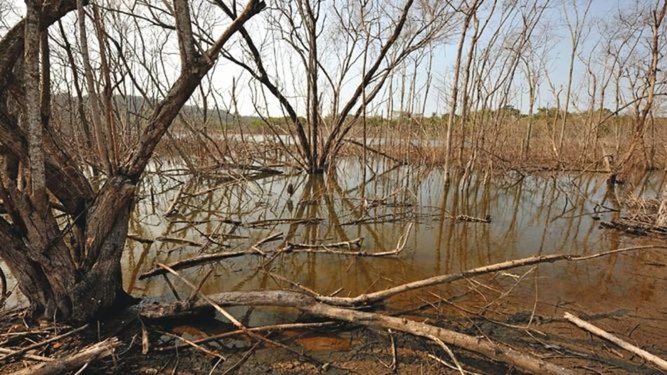 Fenómeno El Niño volvería antes de fin de año