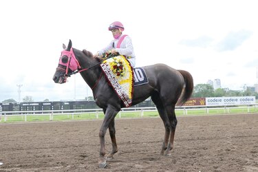 Hípicos tienen su fiesta