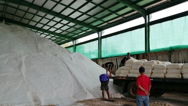 Salineros piden acercamiento con el Instituto de Seguro Agropecuario