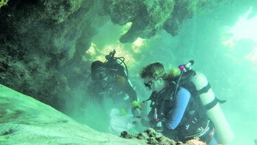 Arrecifes y cambios en las comunidades de tiburones