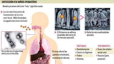 Tras la pista del rotavirus