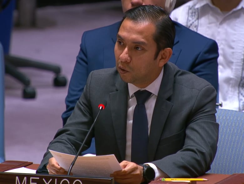 En vivo: Continúa el debate sobre la seguridad marítima, liderado por Panamá en el Consejo de Seguridad de la ONU