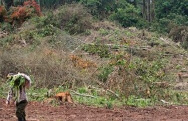 Abren paso a intercambiador vial