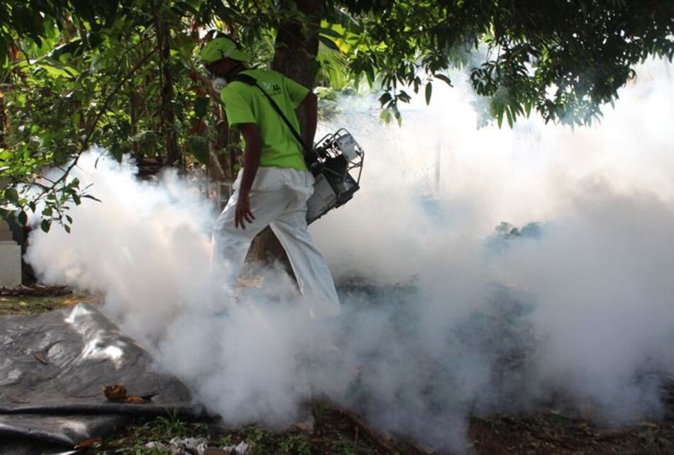 Investigan el arribo de virus zika a Panamá
