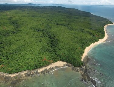 Miembros del Consejo de Coiba solicitan mayor transparencia